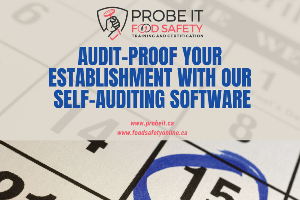 Audit-Proof Your Establishment With Our Self-Auditing Software - Probe ...