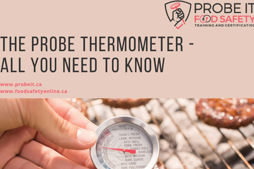 The-Probe-Thermometer-All-You-Need-to-Know